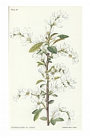  no thumbnail available