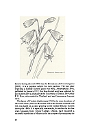  no thumbnail available