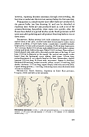  no thumbnail available