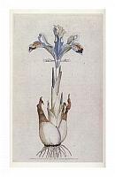  no thumbnail available