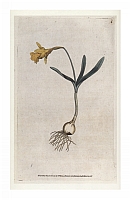  no thumbnail available