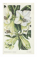  no thumbnail available