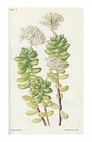  no thumbnail available