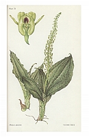  no thumbnail available