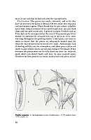  no thumbnail available