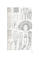  no thumbnail available