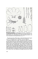  no thumbnail available