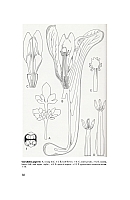  no thumbnail available