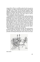  no thumbnail available