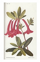  no thumbnail available