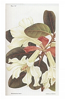  no thumbnail available