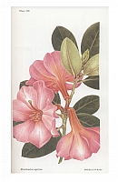  no thumbnail available