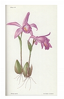  no thumbnail available