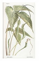  no thumbnail available