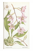  no thumbnail available