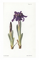  no thumbnail available