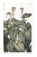  no thumbnail available