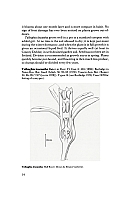  no thumbnail available