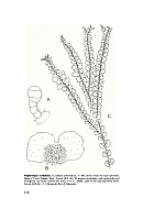  no thumbnail available