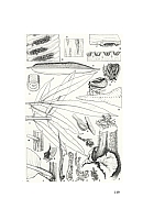  no thumbnail available