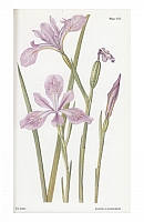  no thumbnail available