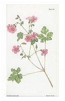  no thumbnail available