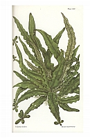  no thumbnail available