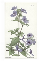  no thumbnail available