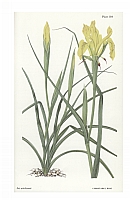  no thumbnail available