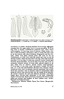  no thumbnail available