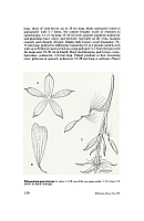 no HD illustration available (5) 