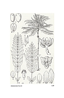  no thumbnail available