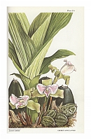  no thumbnail available