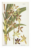  no thumbnail available