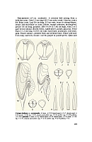 no HD illustration available (5) 