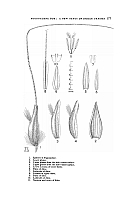  no thumbnail available