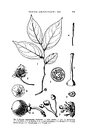  no thumbnail available