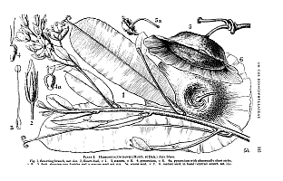  no thumbnail available