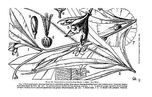  no thumbnail available