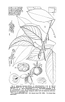  no thumbnail available