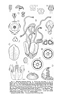  no thumbnail available