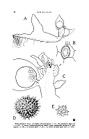  no thumbnail available