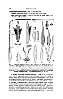  no thumbnail available