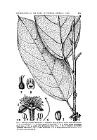  no thumbnail available