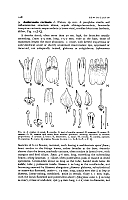  no thumbnail available