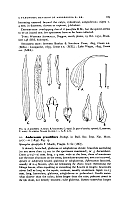  no thumbnail available