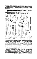  no thumbnail available