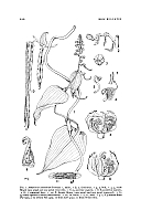  no thumbnail available