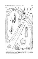  no thumbnail available