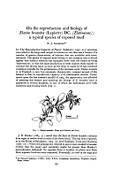  no thumbnail available